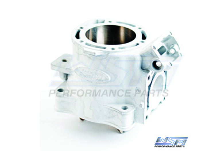 Cylinder; Yamaha 800 98-05