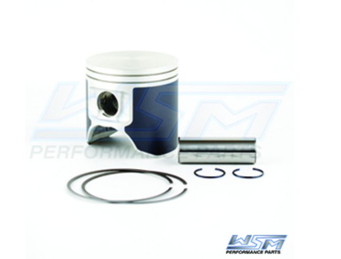 Piston Kit; Kawasaki 750 / 1100 95-03 Standard Platinum