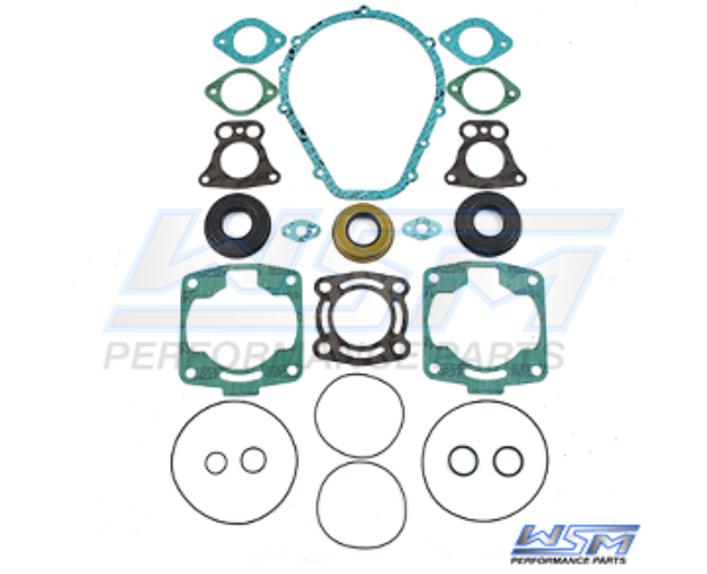 Complete Gasket Kit; Polaris 700 00-04