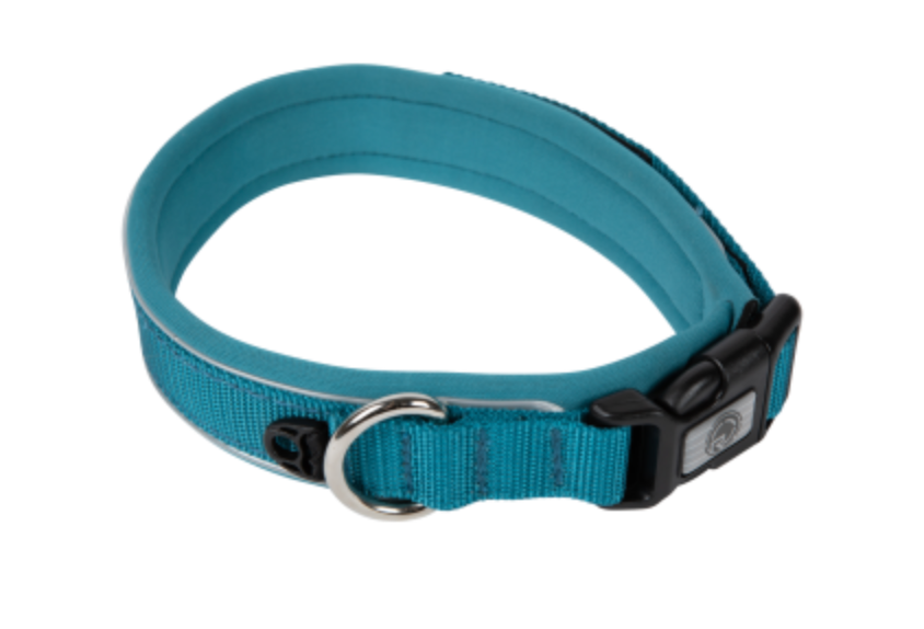 Dog Collar