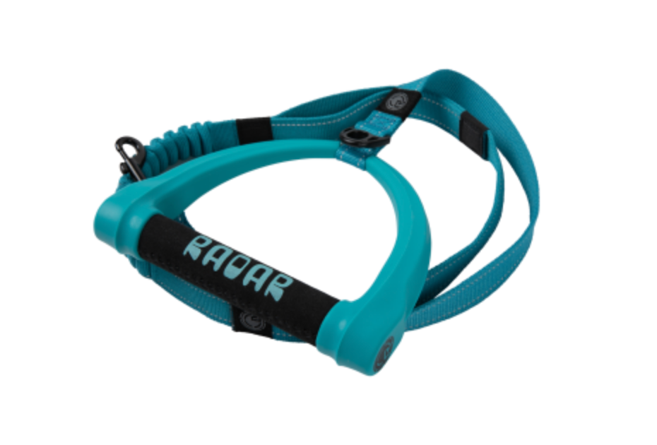 Dog Leash