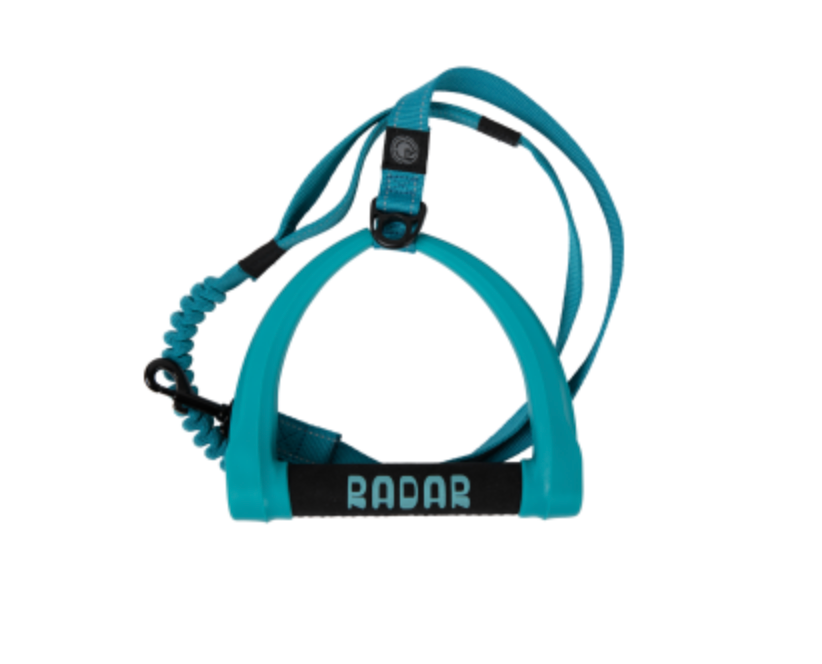 Dog Leash